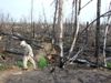 Fire Damage