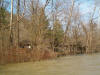 Swollen River