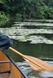 Paddling