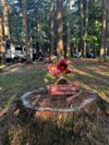 Nimilsa Campground